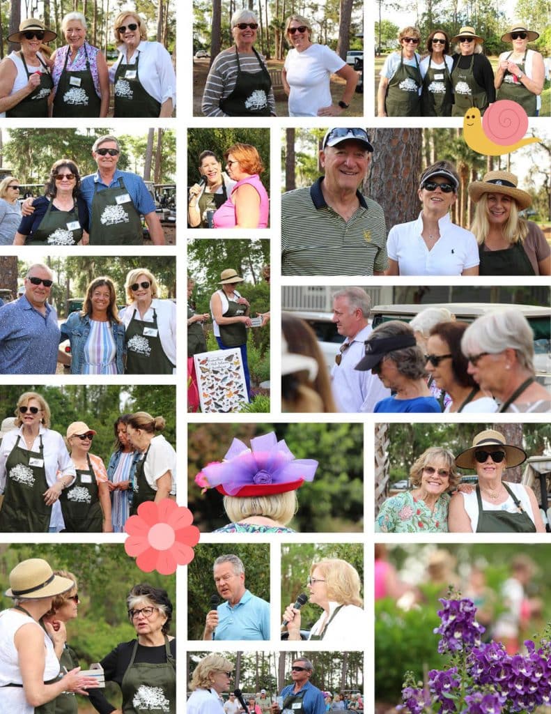 Butterfly Garden Collage