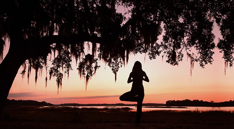 Yoga photo under live oak tree