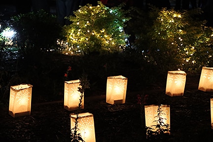 2023 Luminary Weekend Dataw Island